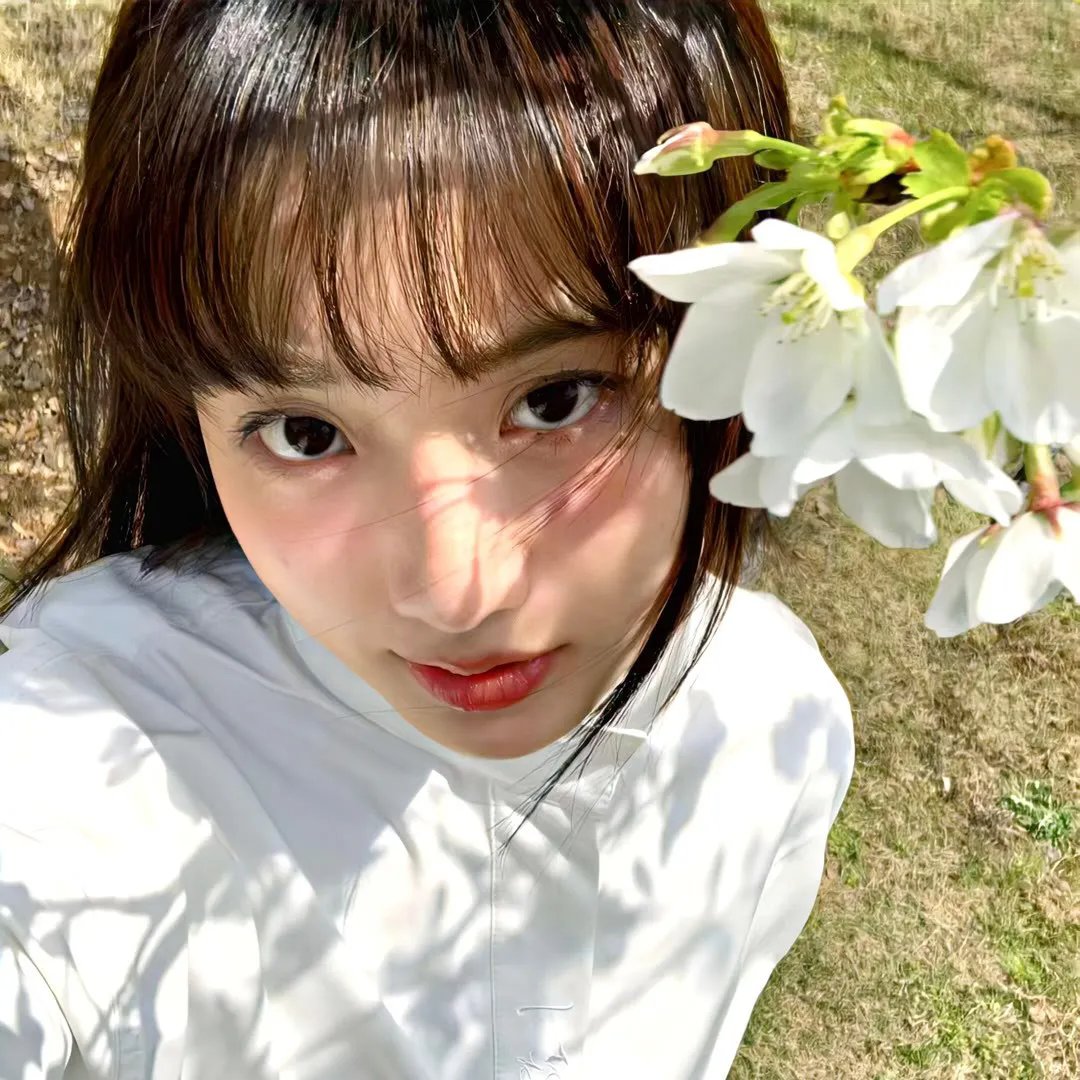 二八佳人花公子续集