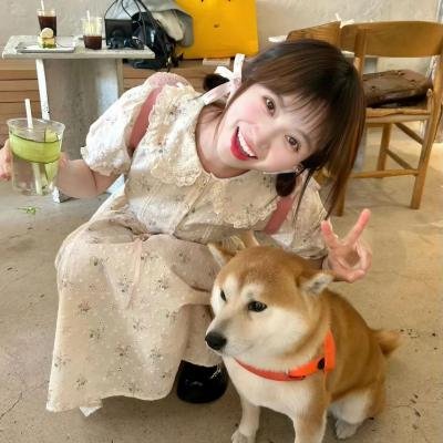 乌菲的一生